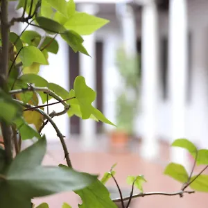 Appartement Adanar-Las Columnas, Granada